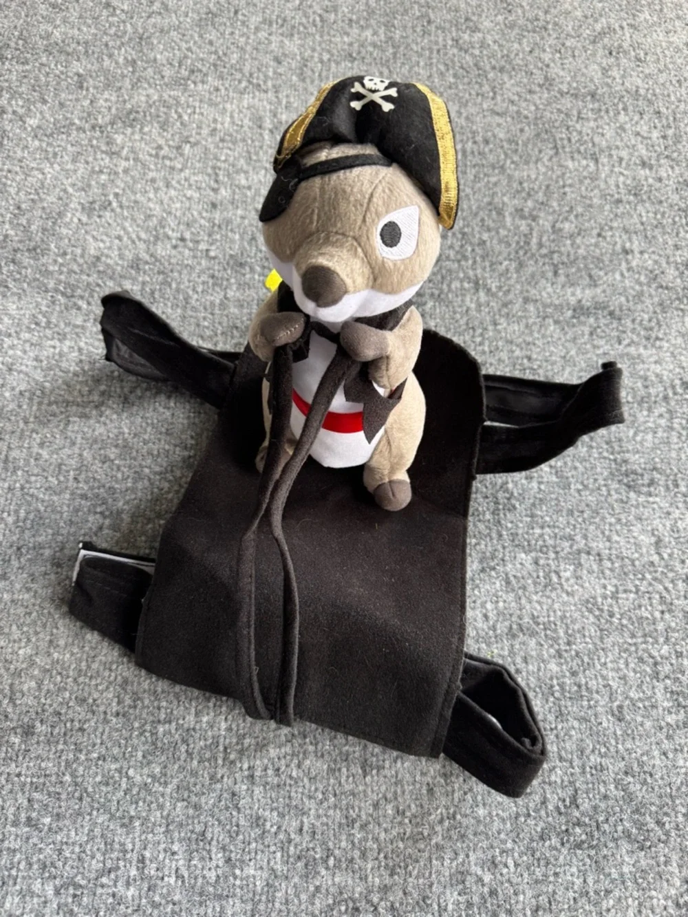 Pirate Squirrel Halloween DOG Costume size medium / large